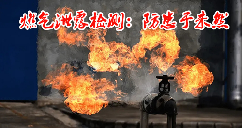 理研GP1000型燃气泄露检测的必要性